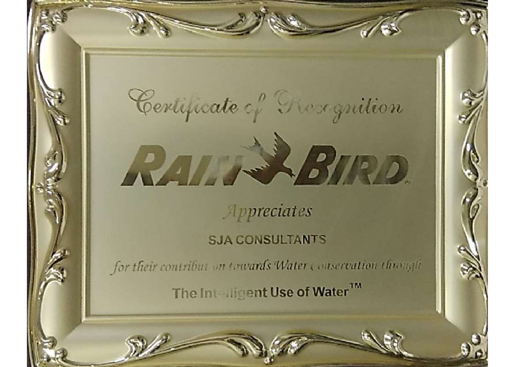 Award 6